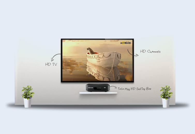 Tata Play Set Top Box